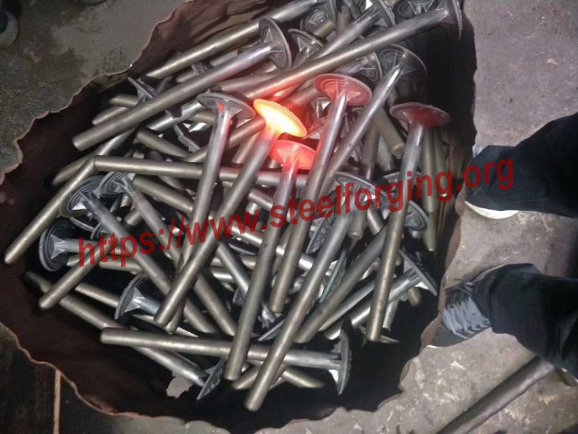 Hot Forged Stainless Steel Fasteners