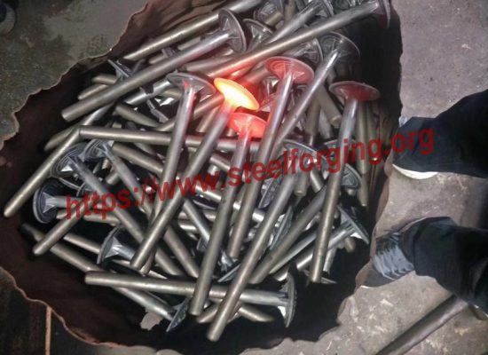 Hot Forged Stainless Steel Fasteners